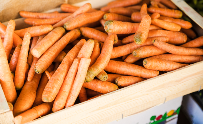 Lifetime Carrot Farming Investment