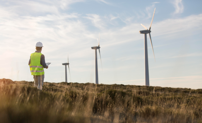 Project Gallery Image