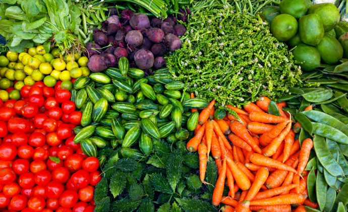 Organic Vegetable Farming Initiative